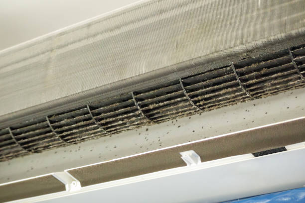 Air Duct Mold Removal in Egypt, AL